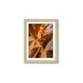 Picture of The Golden Passage _GroupedProduct_Rectangle_Portrait_Photography _GroupedProduct_Rectangle_Portrait_Framed_Matted_