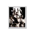 Picture of Pale Bloom Ensemble _GroupedProduct_Rectangle_Portrait_Photography _GroupedProduct_Rectangle_Portrait_Framed_Matted_