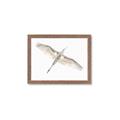 Picture of Serenade Flight _GroupedProduct_Rectangle_Landscape_Photography _GroupedProduct_Rectangle_Landscape_Framed_Matted_