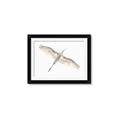 Picture of Serenade Flight _GroupedProduct_Rectangle_Landscape_Photography _GroupedProduct_Rectangle_Landscape_Framed_Matted_