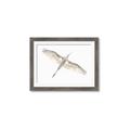 Picture of Serenade Flight _GroupedProduct_Rectangle_Landscape_Photography _GroupedProduct_Rectangle_Landscape_Framed_Matted_