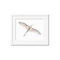 Picture of Serenade Flight _GroupedProduct_Rectangle_Landscape_Photography _GroupedProduct_Rectangle_Landscape_Framed_Matted_