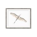 Picture of Serenade Flight _GroupedProduct_Rectangle_Landscape_Photography _GroupedProduct_Rectangle_Landscape_Framed_Matted_