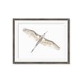 Picture of Serenade Flight _GroupedProduct_Rectangle_Landscape_Photography _GroupedProduct_Rectangle_Landscape_Framed_Matted_