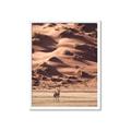 Picture of Tranquil Walk in the Valley _GroupedProduct_Rectangle_Portrait_Photography _GroupedProduct_Rectangle_Portrait_Framed_Matted_