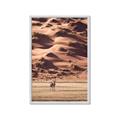Picture of Tranquil Walk in the Valley _GroupedProduct_Rectangle_Portrait_Photography _GroupedProduct_Rectangle_Portrait_Framed_Matted_
