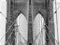 Picture of New York Cable Bridge _GroupedProduct_Rectangle_Landscape_Photography _GroupedProduct_Rectangle_Landscape_Unframed_Print_Only_