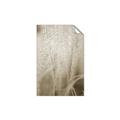 Picture of Elysian Grass _GroupedProduct_Rectangle_Portrait_Photography _GroupedProduct_Rectangle_Portrait_Unframed_Print_Only_