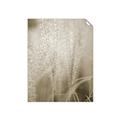 Picture of Elysian Grass _GroupedProduct_Rectangle_Portrait_Photography _GroupedProduct_Rectangle_Portrait_Unframed_Print_Only_