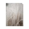 Picture of Elysian Grass _GroupedProduct_Rectangle_Portrait_Photography _GroupedProduct_Rectangle_Portrait_Unframed_Print_Only_