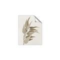 Picture of Dried Eucalyptus Blossom _GroupedProduct_Rectangle_Portrait_Photography _GroupedProduct_Rectangle_Portrait_Unframed_Print_Only_