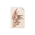 Picture of Dried Eucalyptus Blossom _GroupedProduct_Rectangle_Portrait_Photography _GroupedProduct_Rectangle_Portrait_Unframed_Print_Only_