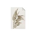 Picture of Dried Eucalyptus Blossom _GroupedProduct_Rectangle_Portrait_Photography _GroupedProduct_Rectangle_Portrait_Unframed_Print_Only_