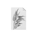 Picture of Dried Eucalyptus Blossom _GroupedProduct_Rectangle_Portrait_Photography _GroupedProduct_Rectangle_Portrait_Unframed_Print_Only_