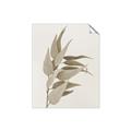 Picture of Dried Eucalyptus Blossom _GroupedProduct_Rectangle_Portrait_Photography _GroupedProduct_Rectangle_Portrait_Unframed_Print_Only_