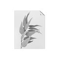 Picture of Dried Eucalyptus Blossom _GroupedProduct_Rectangle_Portrait_Photography _GroupedProduct_Rectangle_Portrait_Unframed_Print_Only_