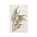 Picture of Dried Eucalyptus Blossom _GroupedProduct_Rectangle_Portrait_Photography _GroupedProduct_Rectangle_Portrait_Unframed_Print_Only_