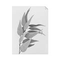 Picture of Dried Eucalyptus Blossom _GroupedProduct_Rectangle_Portrait_Photography _GroupedProduct_Rectangle_Portrait_Unframed_Print_Only_