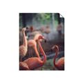 Picture of Flamingo _GroupedProduct_Rectangle_Portrait_Photography _GroupedProduct_Rectangle_Portrait_Unframed_Print_Only_