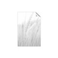 Picture of Rhapsody of Grass Blades _GroupedProduct_Rectangle_Portrait_Photography _GroupedProduct_Rectangle_Portrait_Unframed_Print_Only_