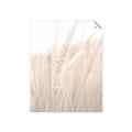 Picture of Rhapsody of Grass Blades _GroupedProduct_Rectangle_Portrait_Photography _GroupedProduct_Rectangle_Portrait_Unframed_Print_Only_