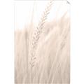 Picture of Rhapsody of Grass Blades _GroupedProduct_Rectangle_Portrait_Photography _GroupedProduct_Rectangle_Portrait_Unframed_Print_Only_