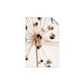 Picture of Ethereal Flower _GroupedProduct_Rectangle_Portrait_Photography _GroupedProduct_Rectangle_Portrait_Unframed_Print_Only_