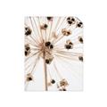 Picture of Ethereal Flower _GroupedProduct_Rectangle_Portrait_Photography _GroupedProduct_Rectangle_Portrait_Unframed_Print_Only_
