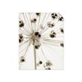 Picture of Ethereal Flower _GroupedProduct_Rectangle_Portrait_Photography _GroupedProduct_Rectangle_Portrait_Unframed_Print_Only_