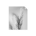 Picture of Enchanted Pampas Grass _GroupedProduct_Rectangle_Portrait_Photography _GroupedProduct_Rectangle_Portrait_Unframed_Print_Only_