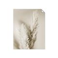 Picture of Enchanted Pampas Grass _GroupedProduct_Rectangle_Portrait_Photography _GroupedProduct_Rectangle_Portrait_Unframed_Print_Only_