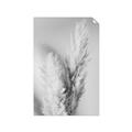 Picture of Enchanted Pampas Grass _GroupedProduct_Rectangle_Portrait_Photography _GroupedProduct_Rectangle_Portrait_Unframed_Print_Only_