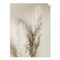 Picture of Enchanted Pampas Grass _GroupedProduct_Rectangle_Portrait_Photography _GroupedProduct_Rectangle_Portrait_Unframed_Print_Only_