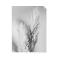 Picture of Enchanted Pampas Grass _GroupedProduct_Rectangle_Portrait_Photography _GroupedProduct_Rectangle_Portrait_Unframed_Print_Only_