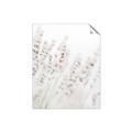 Picture of Grass straws _GroupedProduct_Rectangle_Portrait_Photography _GroupedProduct_Rectangle_Portrait_Unframed_Print_Only_
