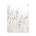 Picture of Grass straws _GroupedProduct_Rectangle_Portrait_Photography _GroupedProduct_Rectangle_Portrait_Unframed_Print_Only_