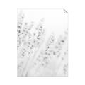 Picture of Grass straws _GroupedProduct_Rectangle_Portrait_Photography _GroupedProduct_Rectangle_Portrait_Unframed_Print_Only_