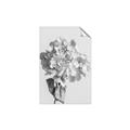 Picture of Lullaby of a Beige Flower _GroupedProduct_Rectangle_Portrait_Photography _GroupedProduct_Rectangle_Portrait_Unframed_Print_Only_