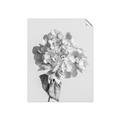 Picture of Lullaby of a Beige Flower _GroupedProduct_Rectangle_Portrait_Photography _GroupedProduct_Rectangle_Portrait_Unframed_Print_Only_