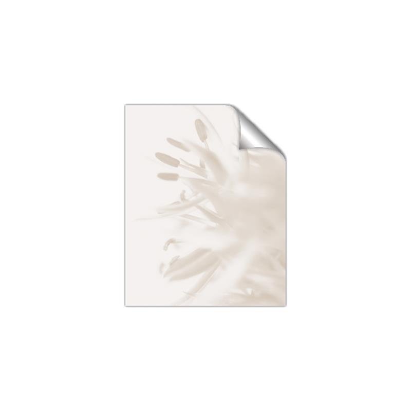 Picture of An Echo of Leaves _GroupedProduct_Rectangle_Portrait_Photography _GroupedProduct_Rectangle_Portrait_Unframed_Print_Only_