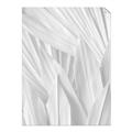 Picture of Beige Blossom Leaf Patterns _GroupedProduct_Rectangle_Portrait_Photography _GroupedProduct_Rectangle_Portrait_Unframed_Print_Only_