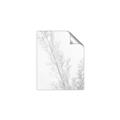 Picture of Earthy Flora Straws _GroupedProduct_Rectangle_Portrait_Photography _GroupedProduct_Rectangle_Portrait_Unframed_Print_Only_