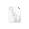 Picture of Earthy Flora Straws _GroupedProduct_Rectangle_Portrait_Photography _GroupedProduct_Rectangle_Portrait_Unframed_Print_Only_