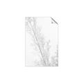 Picture of Earthy Flora Straws _GroupedProduct_Rectangle_Portrait_Photography _GroupedProduct_Rectangle_Portrait_Unframed_Print_Only_