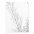 Picture of Earthy Flora Straws _GroupedProduct_Rectangle_Portrait_Photography _GroupedProduct_Rectangle_Portrait_Unframed_Print_Only_