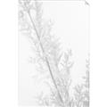Picture of Earthy Flora Straws _GroupedProduct_Rectangle_Portrait_Photography _GroupedProduct_Rectangle_Portrait_Unframed_Print_Only_