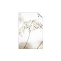 Picture of Desert Bloom Elegance _GroupedProduct_Rectangle_Portrait_Photography _GroupedProduct_Rectangle_Portrait_Unframed_Print_Only_