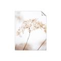 Picture of Desert Bloom Elegance _GroupedProduct_Rectangle_Portrait_Photography _GroupedProduct_Rectangle_Portrait_Unframed_Print_Only_