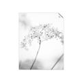 Picture of Desert Bloom Elegance _GroupedProduct_Rectangle_Portrait_Photography _GroupedProduct_Rectangle_Portrait_Unframed_Print_Only_
