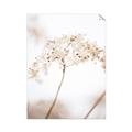 Picture of Desert Bloom Elegance _GroupedProduct_Rectangle_Portrait_Photography _GroupedProduct_Rectangle_Portrait_Unframed_Print_Only_
